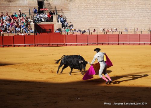 Plaza de Toros de la Real Maestranza de Caballería de Sevilla, Séville, Andalousie, Espagne