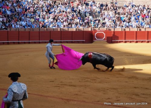 Plaza de Toros de la Real Maestranza de Caballería de Sevilla, Séville, Andalousie, Espagne