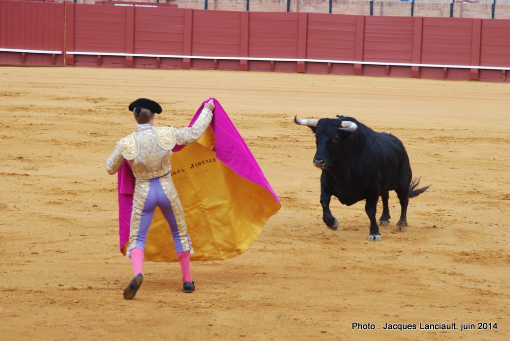 Plaza de Toros de la Real Maestranza de Caballería de Sevilla, Séville, Andalousie, Espagne