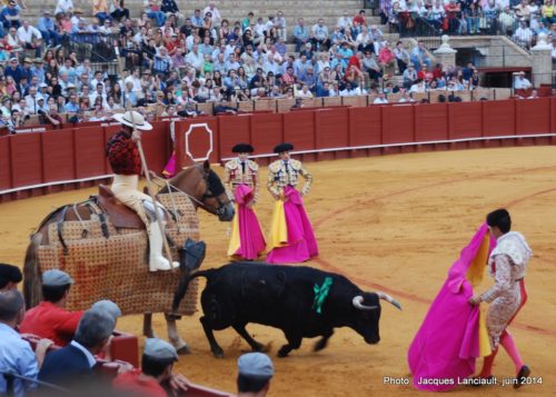 Plaza de Toros de la Real Maestranza de Caballería de Sevilla, Séville, Andalousie, Espagne