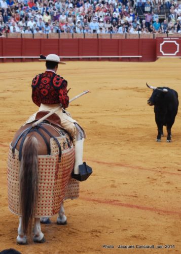 Plaza de Toros de la Real Maestranza de Caballería de Sevilla, Séville, Andalousie, Espagne