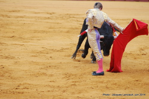 Plaza de Toros de la Real Maestranza de Caballería de Sevilla, Séville, Andalousie, Espagne