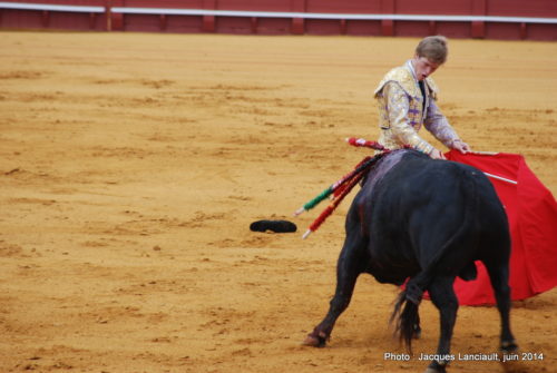 Plaza de Toros de la Real Maestranza de Caballería de Sevilla, Séville, Andalousie, Espagne