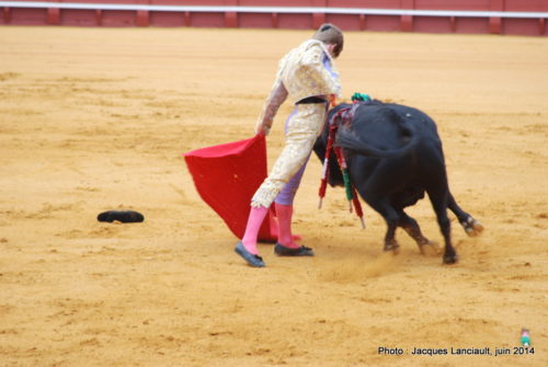 Plaza de Toros de la Real Maestranza de Caballería de Sevilla, Séville, Andalousie, Espagne