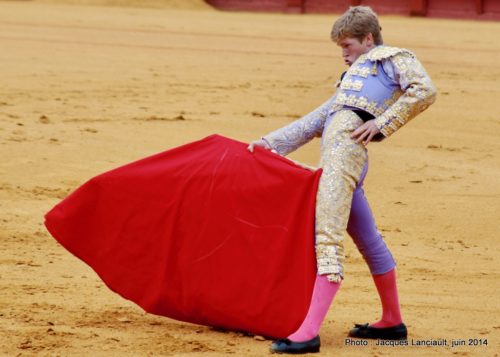 Plaza de Toros de la Real Maestranza de Caballería de Sevilla, Séville, Andalousie, Espagne