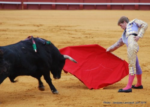Plaza de Toros de la Real Maestranza de Caballería de Sevilla, Séville, Andalousie, Espagne