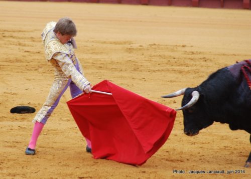 Plaza de Toros de la Real Maestranza de Caballería de Sevilla, Séville, Andalousie, Espagne