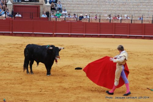 Plaza de Toros de la Real Maestranza de Caballería de Sevilla, Séville, Andalousie, Espagne