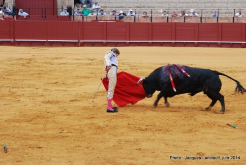 Plaza de Toros de la Real Maestranza de Caballería de Sevilla, Séville, Andalousie, Espagne