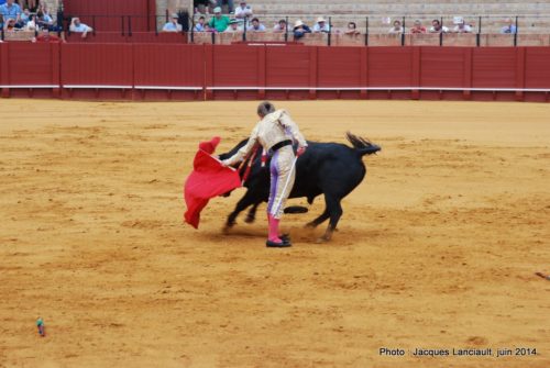 Plaza de Toros de la Real Maestranza de Caballería de Sevilla, Séville, Andalousie, Espagne