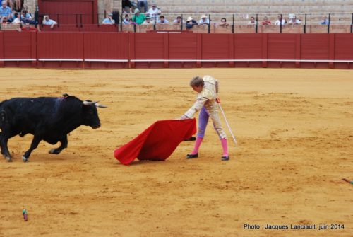 Plaza de Toros de la Real Maestranza de Caballería de Sevilla, Séville, Andalousie, Espagne
