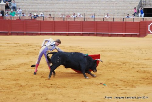 Plaza de Toros de la Real Maestranza de Caballería de Sevilla, Séville, Andalousie, Espagne