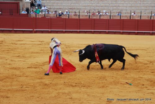 Plaza de Toros de la Real Maestranza de Caballería de Sevilla, Séville, Andalousie, Espagne