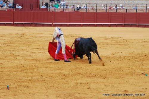 Plaza de Toros de la Real Maestranza de Caballería de Sevilla, Séville, Andalousie, Espagne