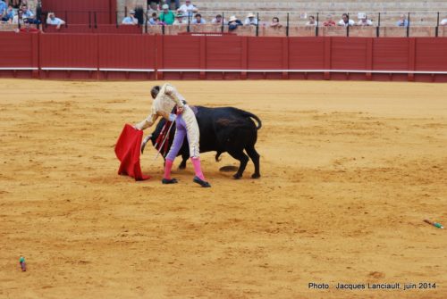 Plaza de Toros de la Real Maestranza de Caballería de Sevilla, Séville, Andalousie, Espagne