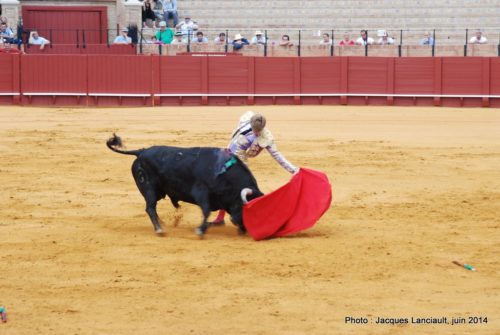 Plaza de Toros de la Real Maestranza de Caballería de Sevilla, Séville, Andalousie, Espagne