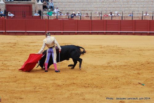 Plaza de Toros de la Real Maestranza de Caballería de Sevilla, Séville, Andalousie, Espagne