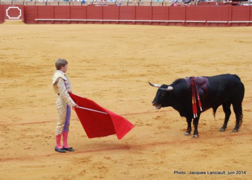 Plaza de Toros de la Real Maestranza de Caballería de Sevilla, Séville, Andalousie, Espagne