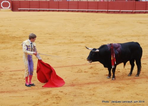 Plaza de Toros de la Real Maestranza de Caballería de Sevilla, Séville, Andalousie, Espagne