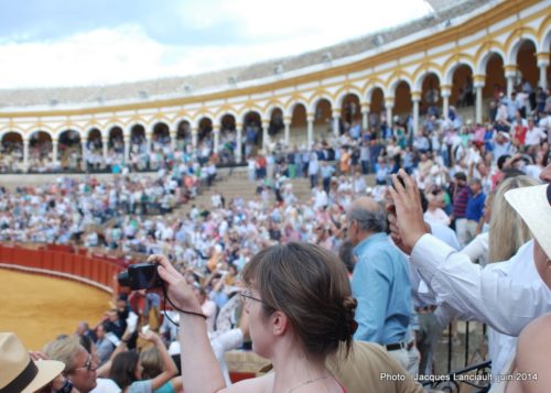 Plaza de Toros de la Real Maestranza de Caballería de Sevilla, Séville, Andalousie, Espagne