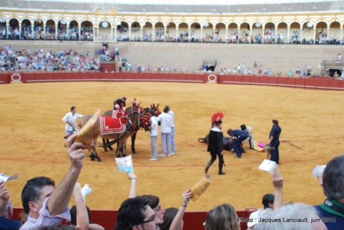 Plaza de Toros de la Real Maestranza de Caballería de Sevilla, Séville, Andalousie, Espagne