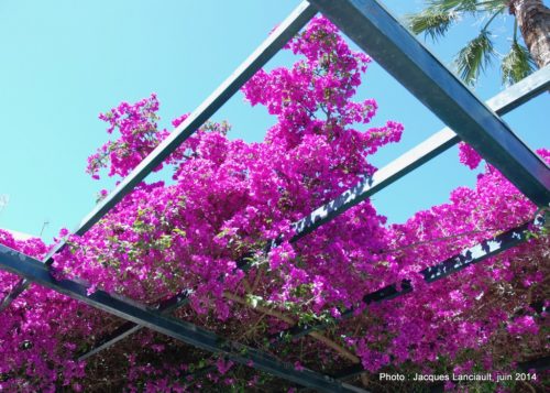 Jardines de Alameda Apodaca, Cádiz, Andalousie, Espagne