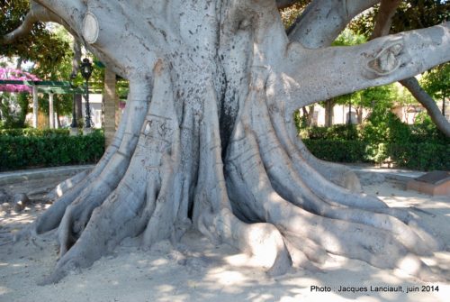 Jardines de Alameda Apodaca, Cádiz, Andalousie, Espagne