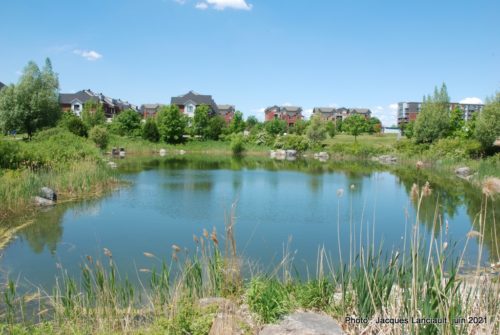 Lacs du parc des Francs-Bourgeois, Boisbriand, Québec