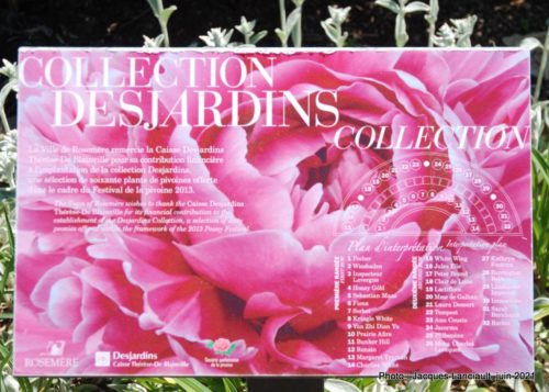 Collection de pivoines, Maison Hamilton, Rosemère, Québec