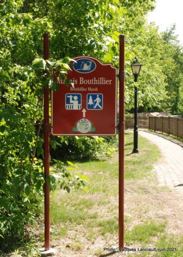 Le marais Bouthillier, Rosemère, Québec