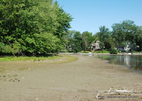 Le marais Bouthillier, Rosemère, Québec