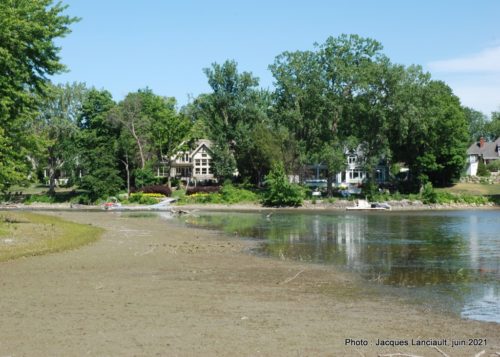 Le marais Bouthillier, Rosemère, Québec