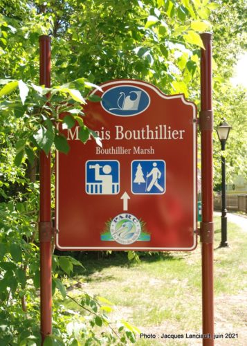 Le marais Bouthillier, Rosemère, Québec