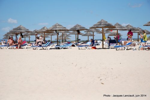 Ilha de Tavira, Algarve, Portugal