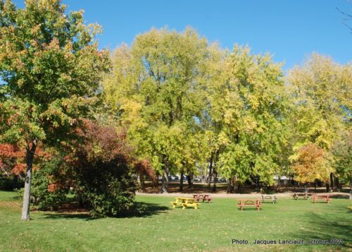 Parc Barron, Lachute, Québec
