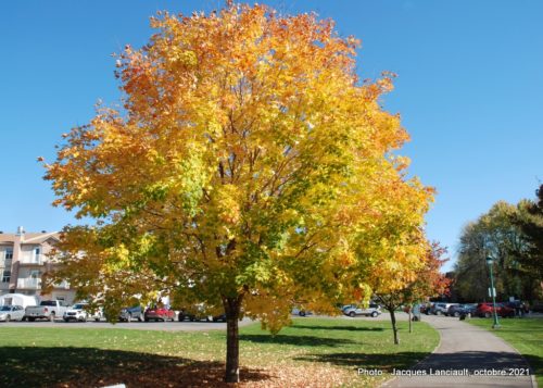 Parc Barron, Lachute, Québec