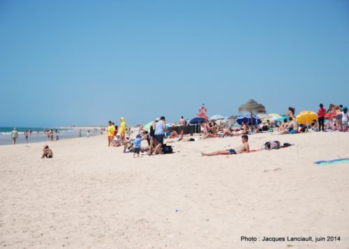 Ilha de Tavira, Algarve, Portugal