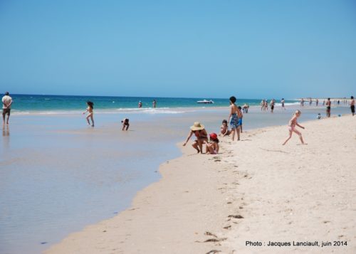 Ilha de Tavira, Algarve, Portugal