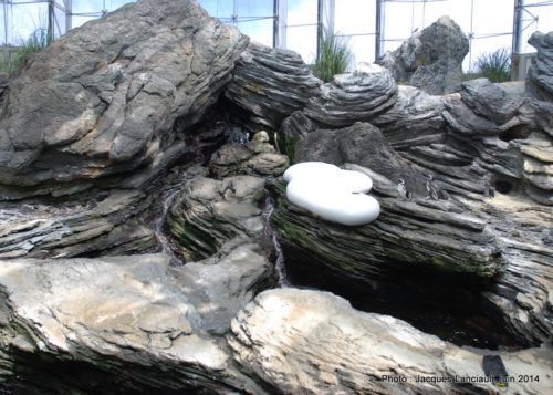 Oceanário de Lisboa, parc des Nations, Lisbonne, Portugal