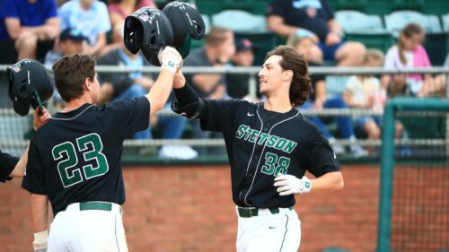 Yohann Dessureault, Université Stetson, NCAA DI