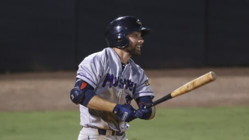 Édouard Julien, Twins du Minnesota