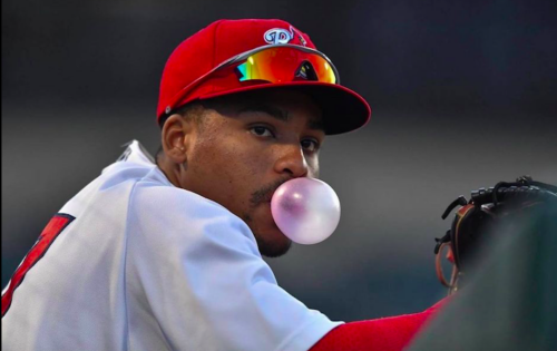 Brandon Hernandez, Cardinals de Palm Beach, A Cardinals de St Louis