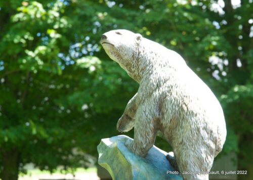 L’ours Polaire, Denis Douville, Inverness, Québec