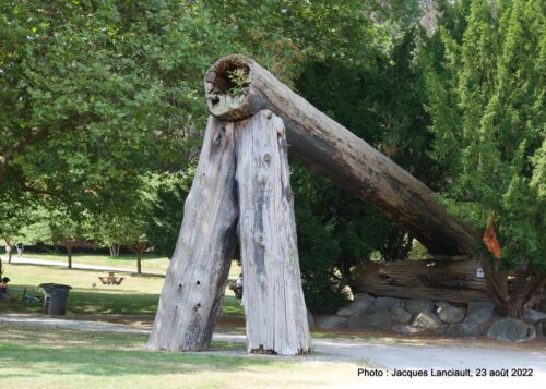 Lumberman’s Arch, parc Stanley, Vancouver, Colombie-Britannique
