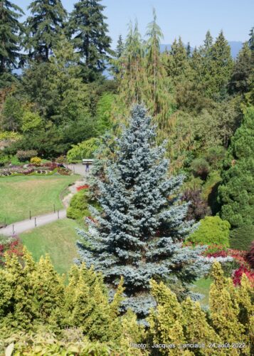 Queen Elizabeth Parc, Vancouver, Colombie-Britannique