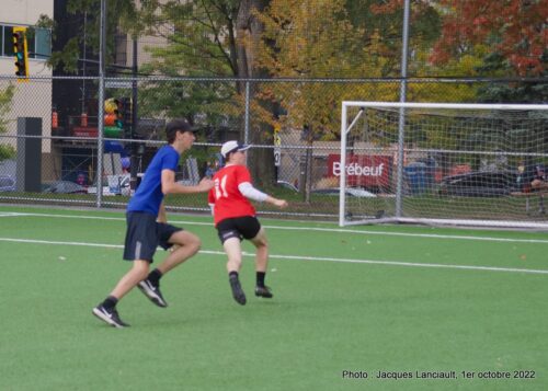 Ultimate, Cégep André-Grasset, Montréal