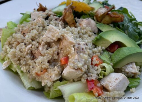 Restaurant Seasons in the Park, Queen Elizabeth Park, Vancouver, Colombie-Britannique