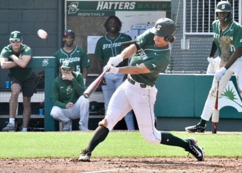 Yohann Dessureault, Université Stetson, NCAA DI