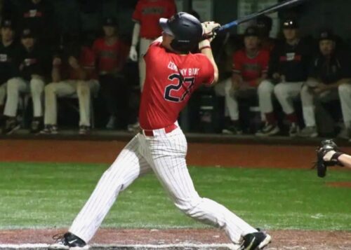 Jimmy Dionne, Mohawks d’Amsterdam, Perfect Game Collegiate Baseball League
