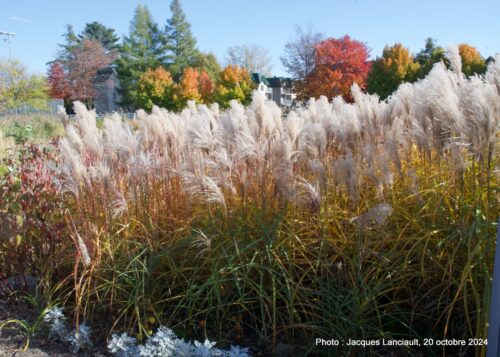 Automne 2024, Blainville